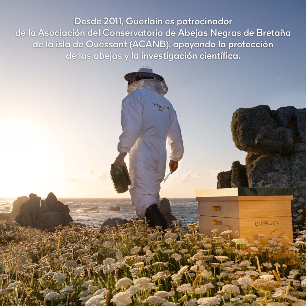 ABEILLE ROYALE PROGRAMA ANTIEDAD DOUBLE R RENEW & REPAIR ADVANCED SERUM (SET PARA CUIDADO FACIAL)